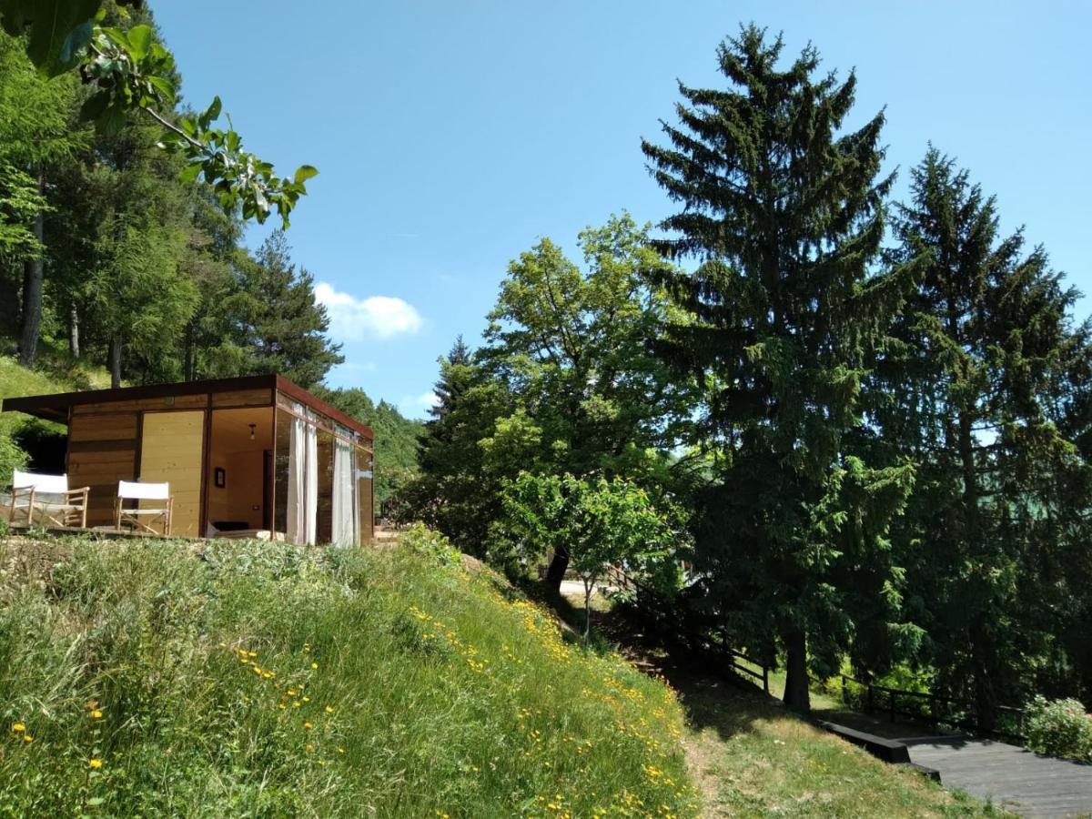 Suxen Nature Experience - Lodge Con Vista Panoramica Prepotto  外观 照片