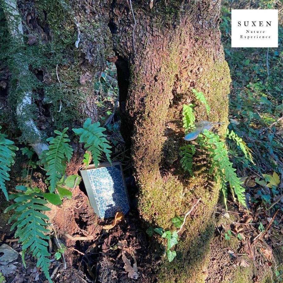 Suxen Nature Experience - Lodge Con Vista Panoramica Prepotto  外观 照片